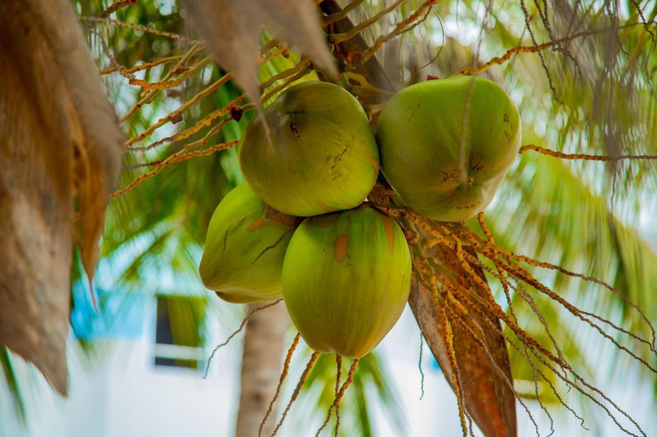 Pwani Beach Boutique Hotel Zanzibar Пвани-Мчангани Экстерьер фото